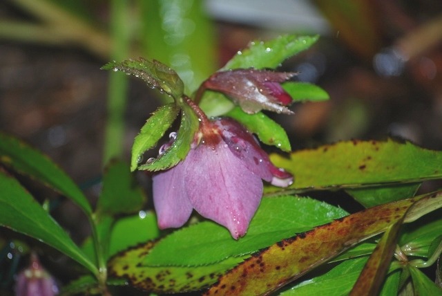 e0025300_17313144.jpg