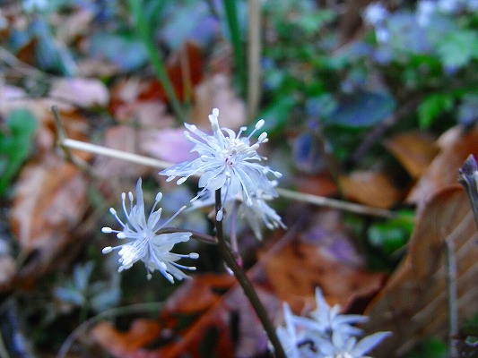 f0187402_18521199.jpg