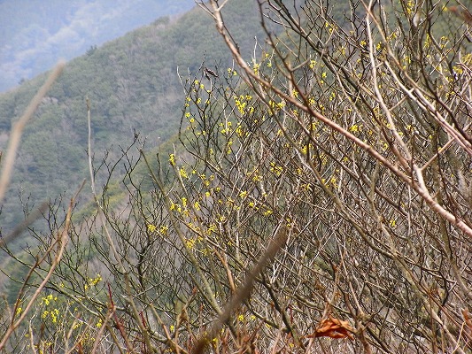 f0187402_18525539.jpg