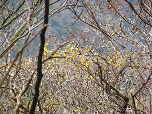 f0187402_1853468.jpg