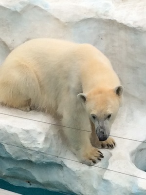a0134004_11481842.jpg