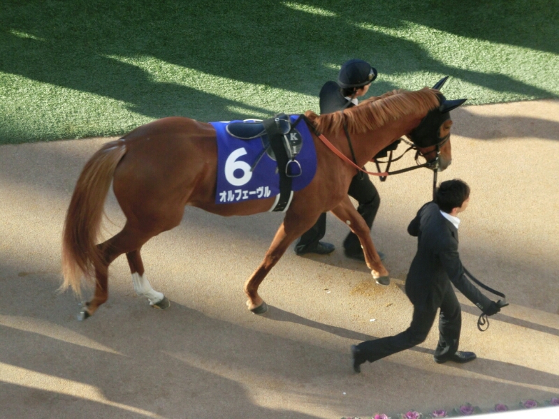 c0110906_11583040.jpg