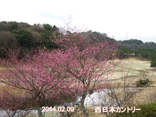 b0318311_1721332.jpg