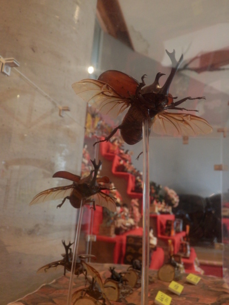 c0062511_207872.jpg