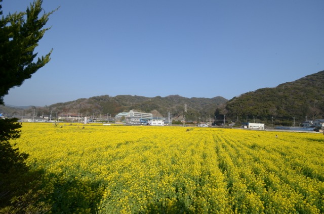 b0301412_19303464.jpg