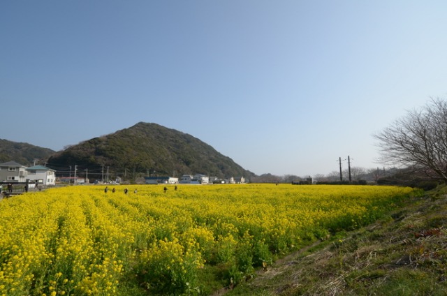 b0301412_1932661.jpg