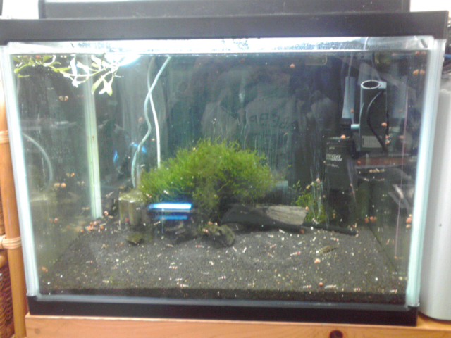 a0291521_12394422.jpg