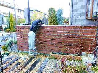 c0204121_225747.jpg