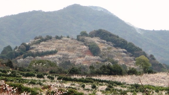 f0000521_18144024.jpg