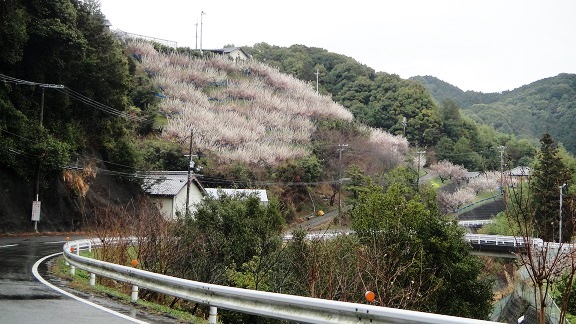 f0000521_1817496.jpg