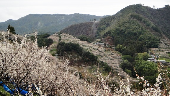 f0000521_18175538.jpg