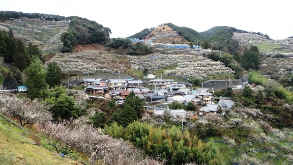 f0000521_18201626.jpg