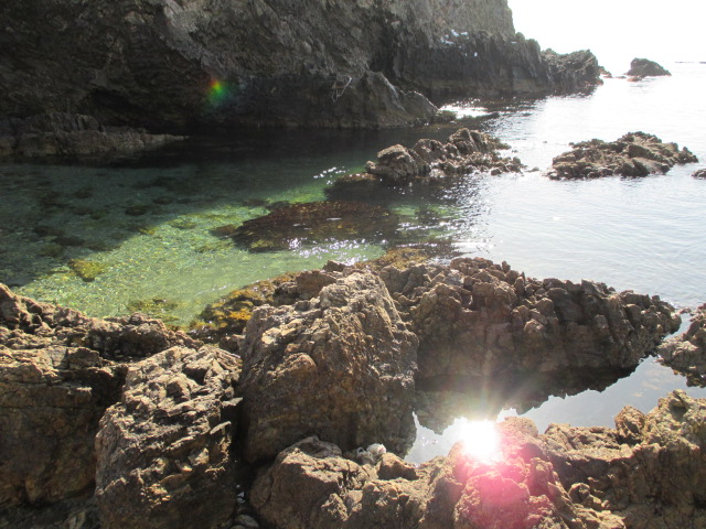 e0130722_14404823.jpg