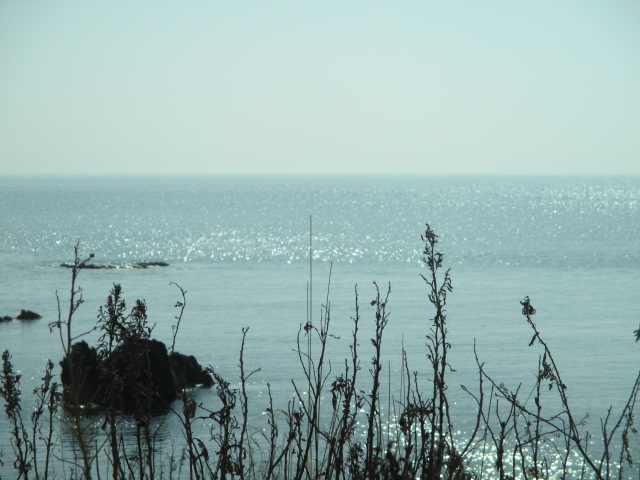 e0130722_14414349.jpg