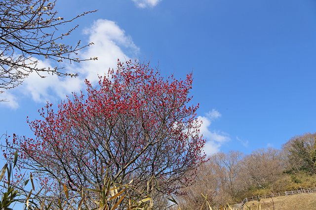 a0242438_19204568.jpg