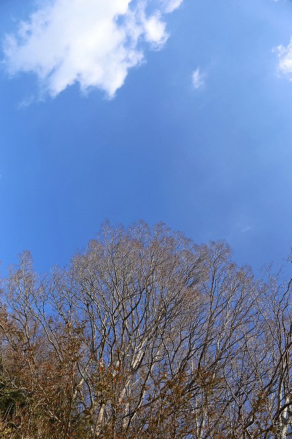 a0242438_19205570.jpg
