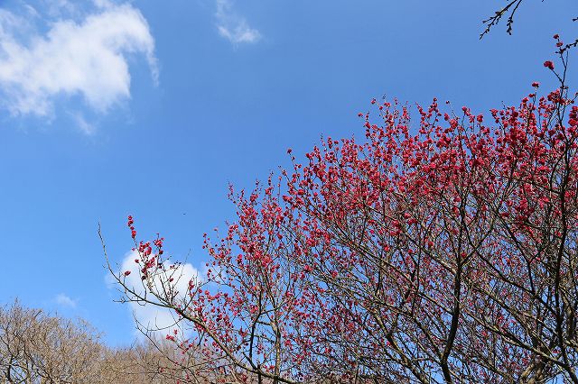 a0242438_1920962.jpg