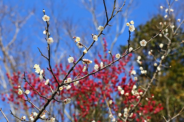 a0242438_19211463.jpg