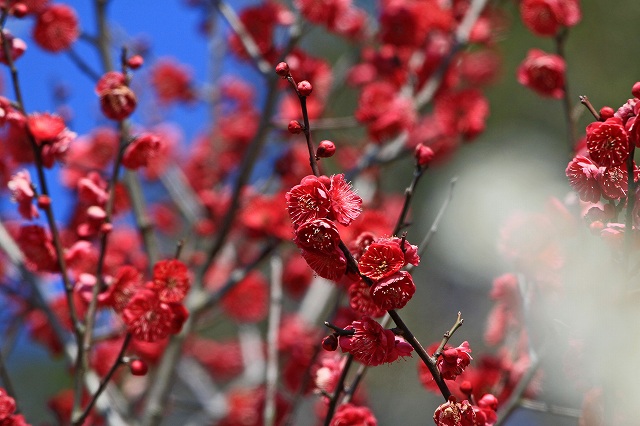 a0242438_19212588.jpg