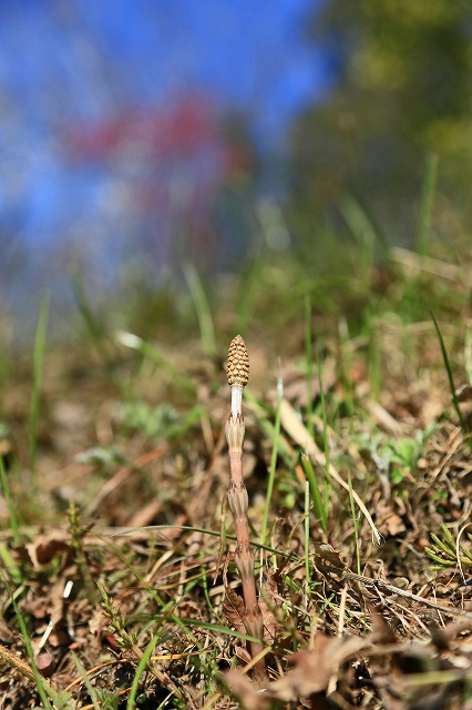 a0242438_19261688.jpg