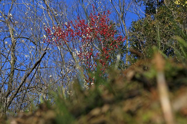a0242438_1926721.jpg