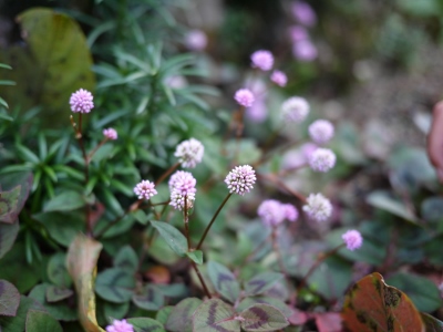 e0325038_0182361.jpg