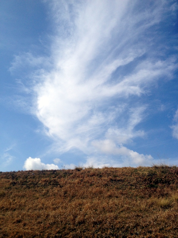 b0057140_18474265.jpg