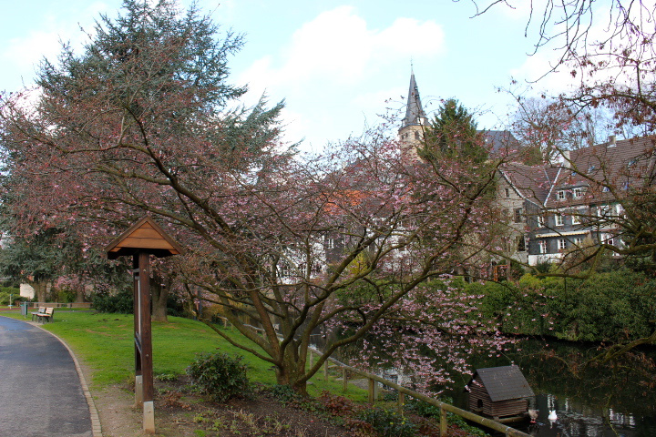 c0153740_2132911.jpg
