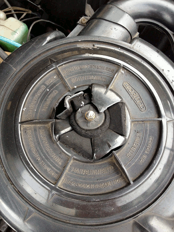 a0026445_1146343.gif