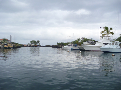 f0039446_7472534.jpg