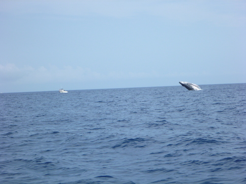 f0039446_748925.jpg