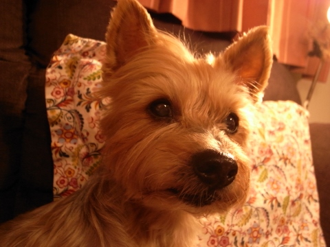 e0138549_10045990.jpg