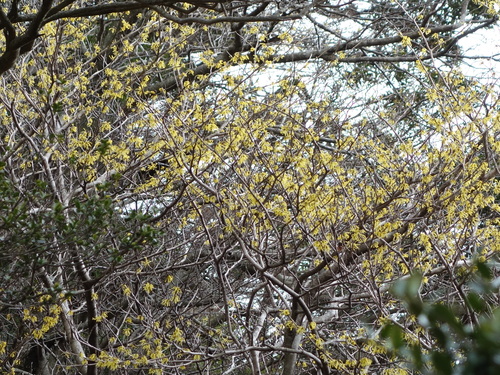 b0161750_20425878.jpg