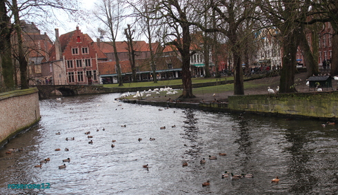a0249051_2211675.jpg