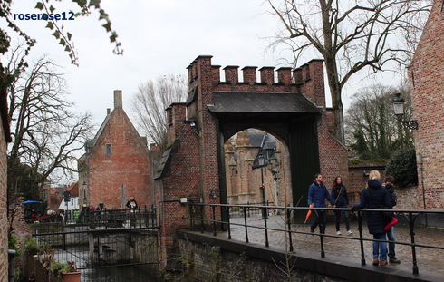 a0249051_223265.jpg