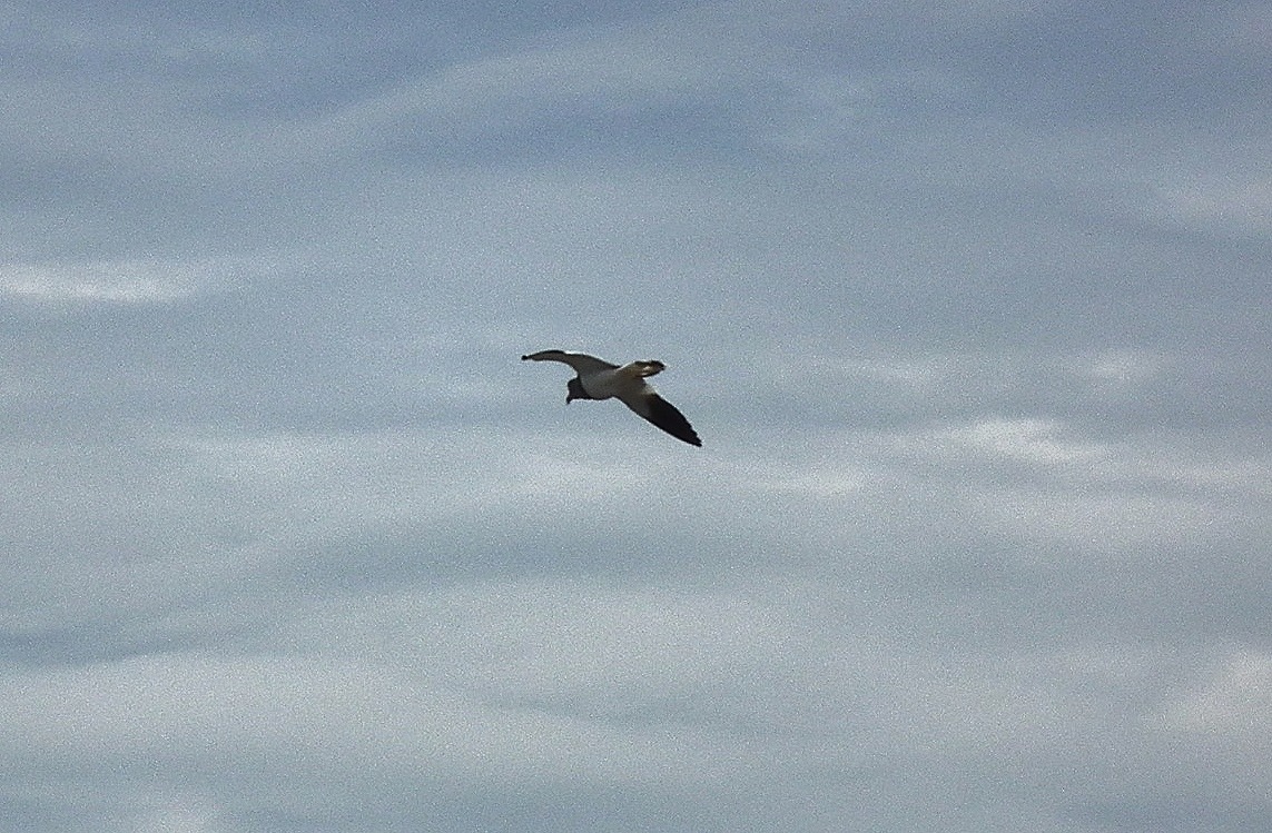 a0018655_21132112.jpg