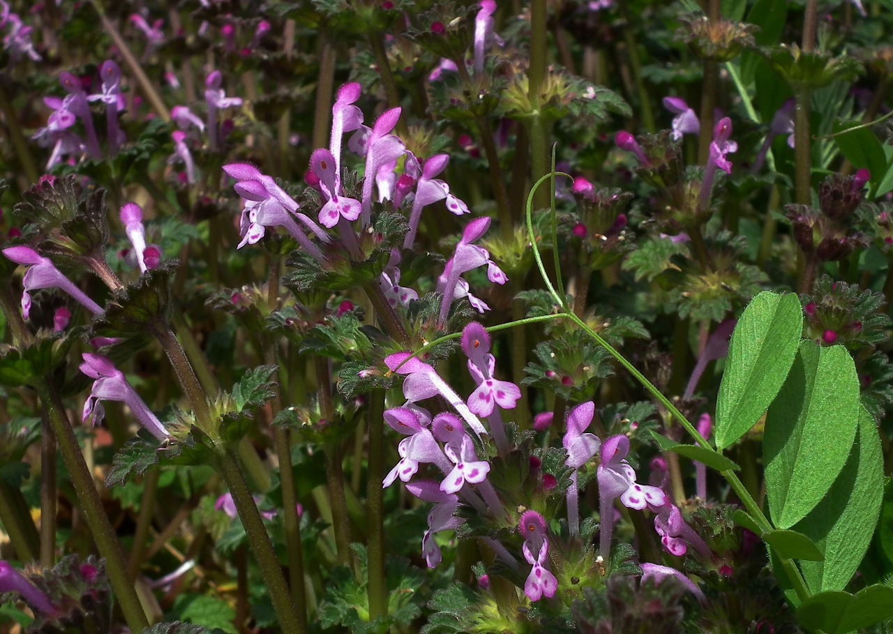 a0018655_2115688.jpg