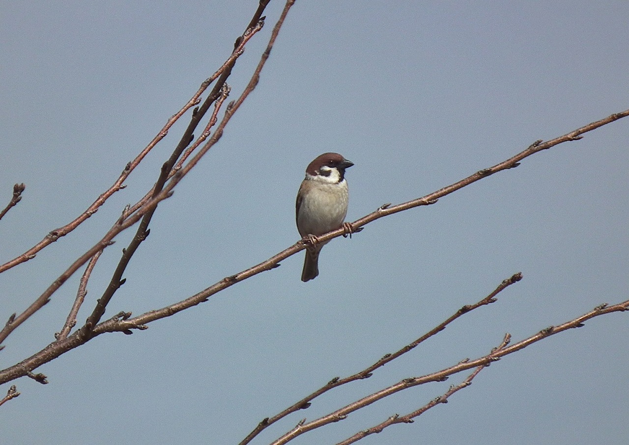 a0018655_2134858.jpg