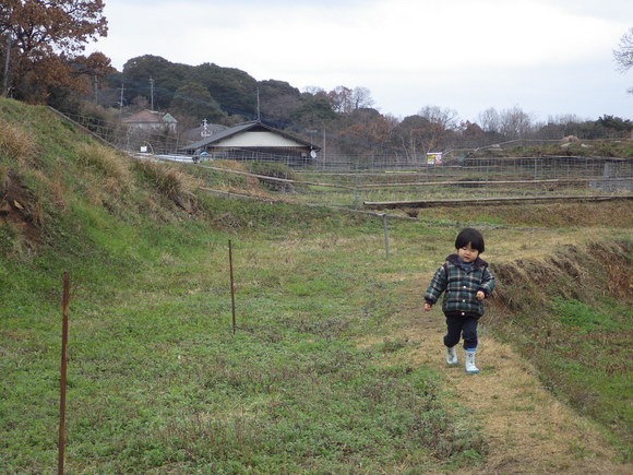 f0201157_169941.jpg