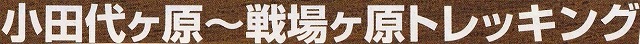 c0119160_10304691.jpg