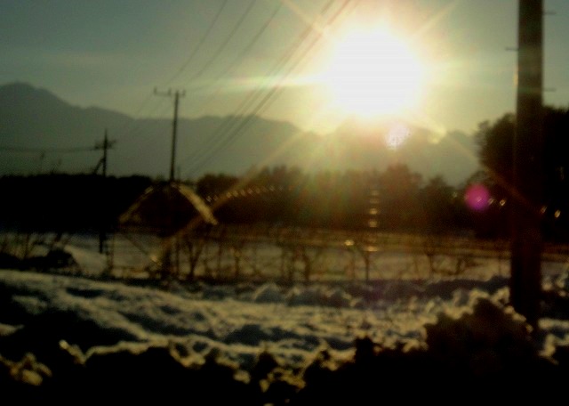 c0119160_12223528.jpg
