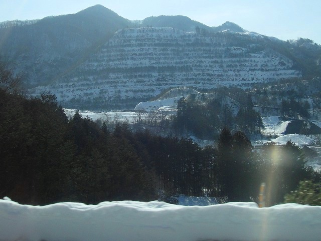 c0119160_628944.jpg