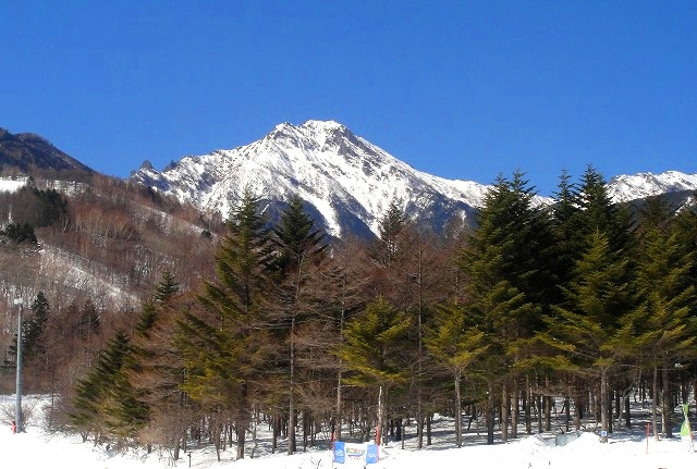 c0119160_9252237.jpg