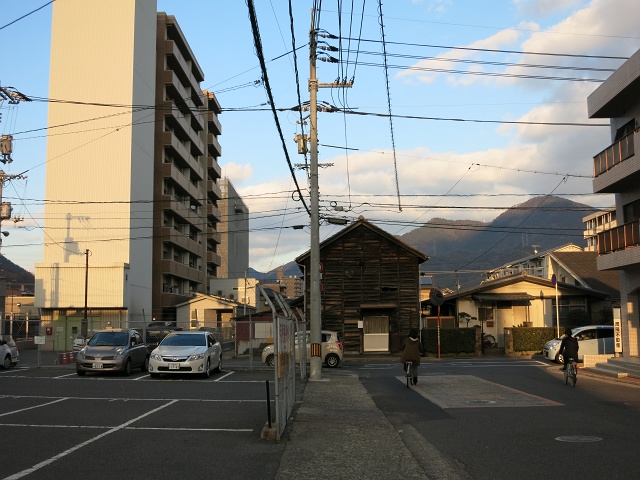 b0095061_650973.jpg