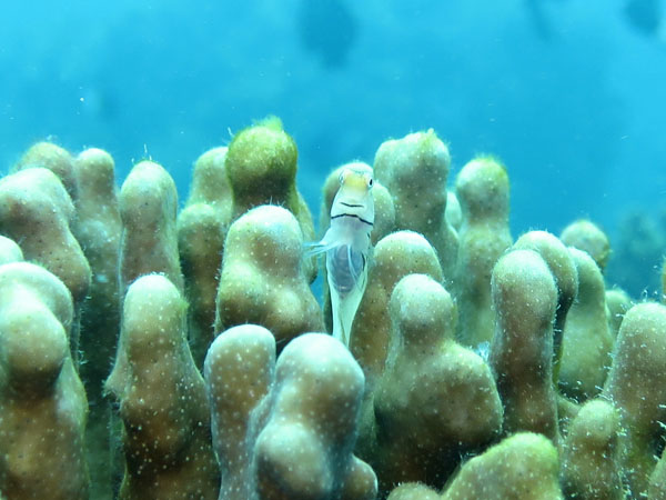 b0062363_179341.jpg