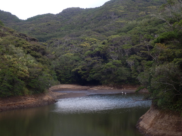 e0292172_20464766.jpg