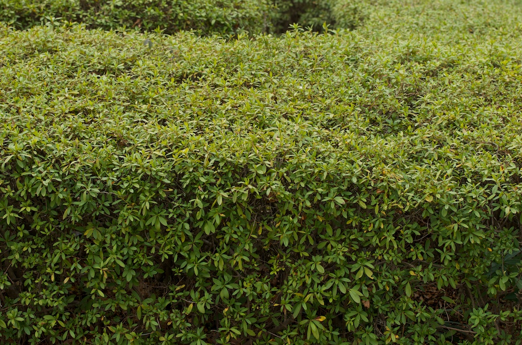 b0247073_22293365.jpg