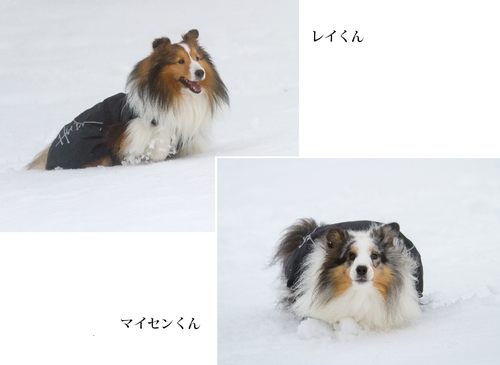 a0157174_1625355.png