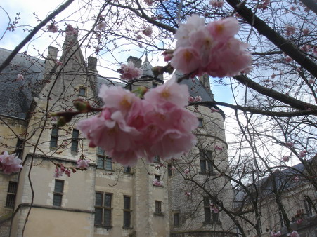 a0247585_4101993.jpg