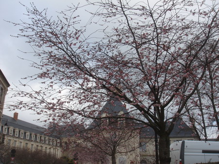 a0247585_4145491.jpg